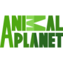 animal-planet
